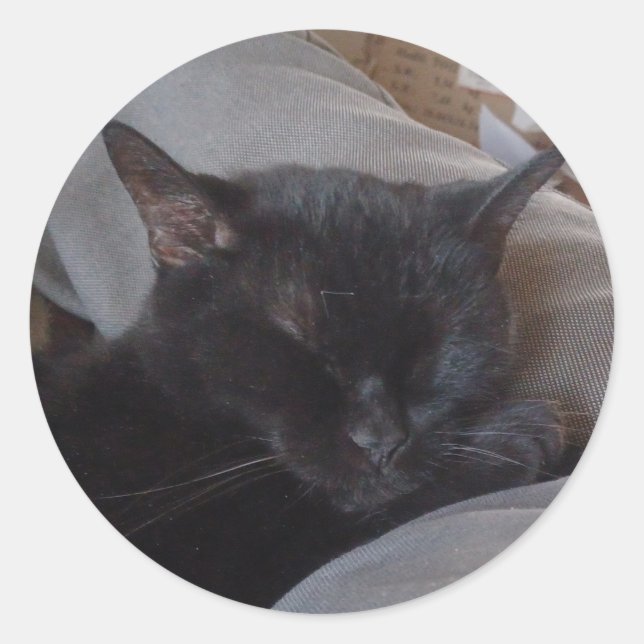 Autocollant de chat endormi (Devant)