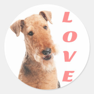 Autocollant de chien chiot Airedale Terrier Love