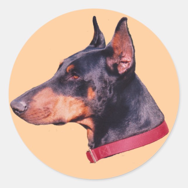 Autocollant de chien de chien de marque Doberman n (Devant)