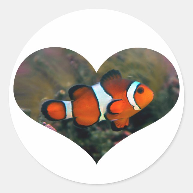 Autocollant de coeur de Clownfish (Devant)
