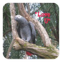Autocollant de coeur gris d'Afrique