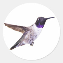 Autocollant de colibri à manne noire
