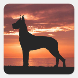 Autocollant de coucher du soleil de great dane