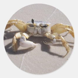 Autocollant de crabe