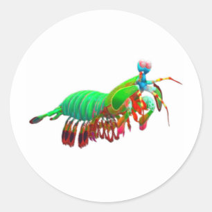 Autocollant de crevette mantis verte électrique -
