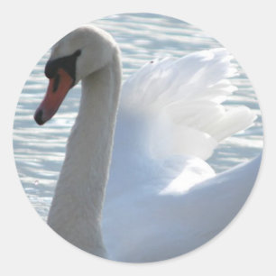Autocollant de cygne de trompette