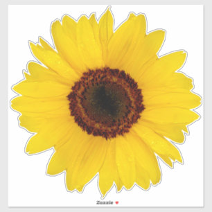 Autocollant de découpe de tournesol