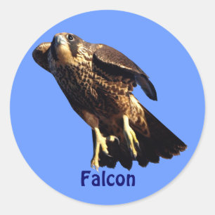 Autocollant de faune du raptor Falcon