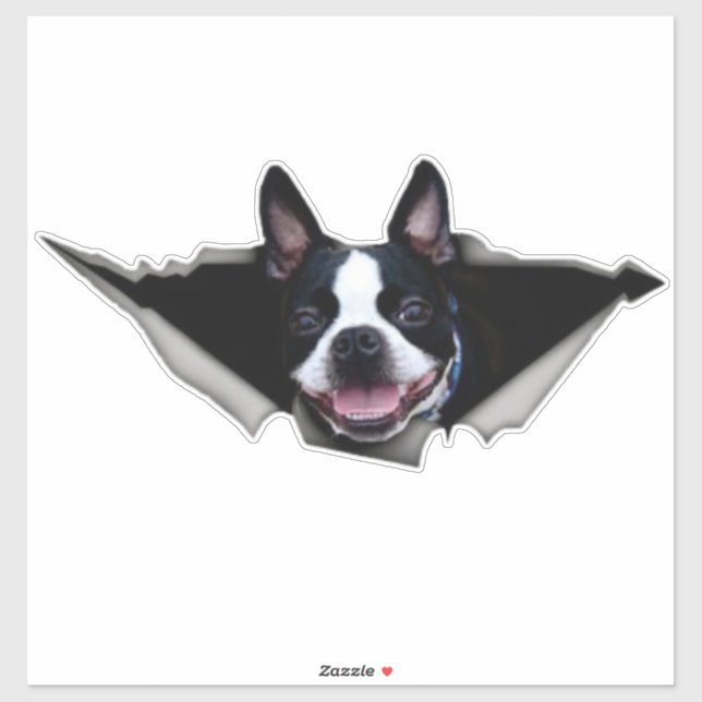 Autocollant de fenêtre Boston Terrier, autocollant (Feuille)