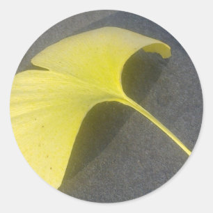 Autocollant de feuille de ginkgo biloba