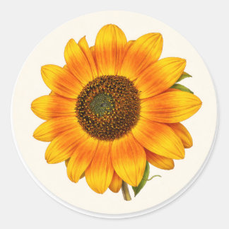 Autocollant de fleur de jardin ronde petite florai