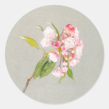 Autocollant de fleur de laurier des montagnes