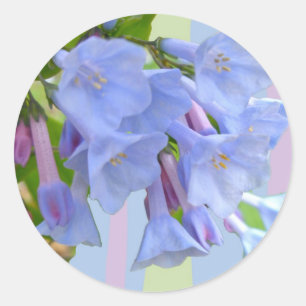 Autocollant de fleur sauvage de jacinthes des bois
