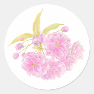Autocollant de fleurs de cerisier rose printemps