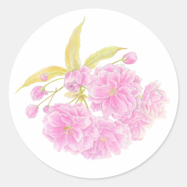 Autocollant de fleurs de cerisier rose printemps (Devant)