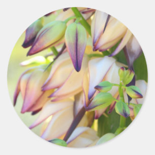 autocollant de fleurs de yucca