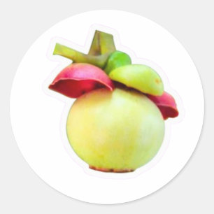 Autocollant de fruit Mangosteen, exotique de Lombo