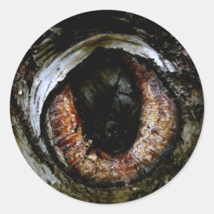 Autocollant de globe oculaire