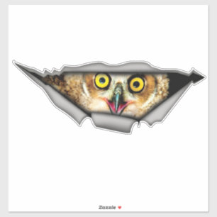 Autocollant de hibou, autocollant, Décalage de vin