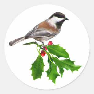 Autocollant de houx de Chickadee