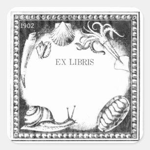 Autocollant de la plaque de cuisson Sea Creatures