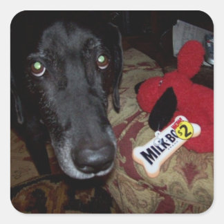 autocollant de laboratoire/jouet noir pour envelop