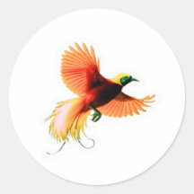 Autocollant de l'oiseau majestueux Cendrawasih - P