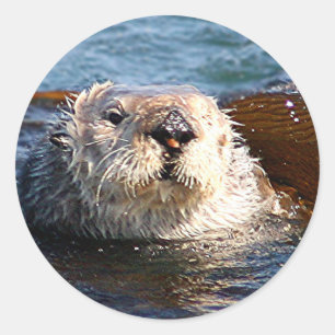 Autocollant de loutre