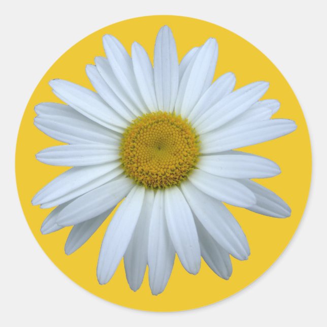 autocollant de marguerite (Devant)