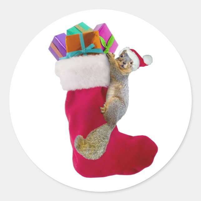 Autocollant de Noël d'écureuil (Devant)