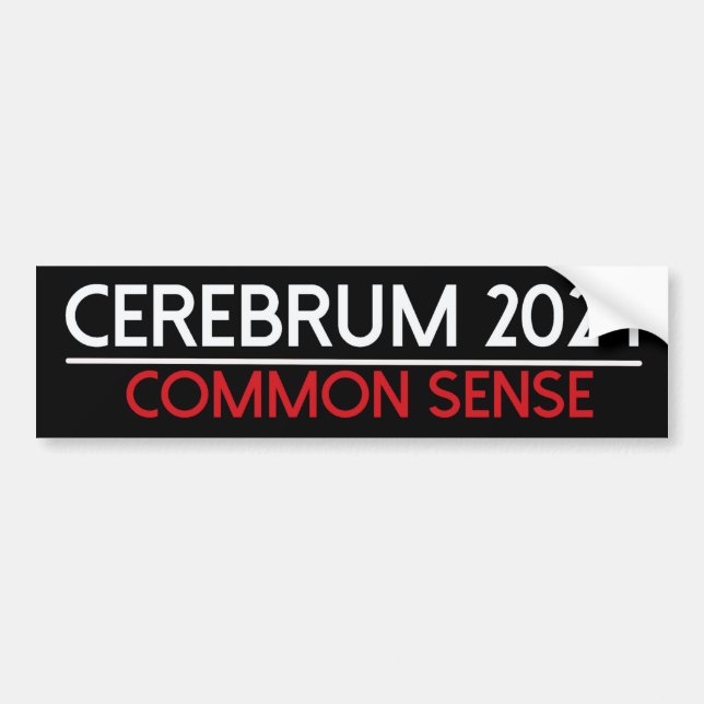 autocollant de pare-chocs cerebrum 2024 (Devant)
