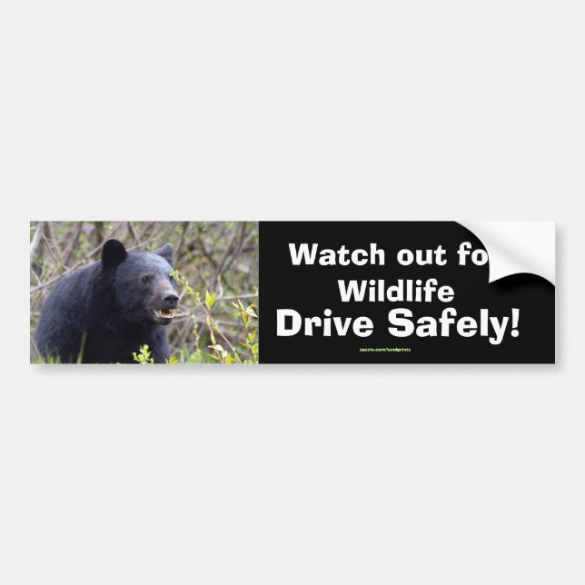 Autocollant de pare-chocs de soutien de la faune d (Devant)