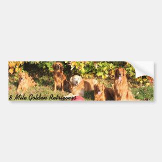 Autocollant de pare-chocs Golden Retriever de 8 mi