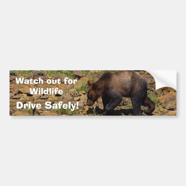 Autocollant de pare-chocs GRizzly Bear Cub Wildlif (Devant)