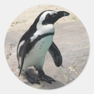 Autocollant de Penquin