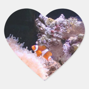 Autocollant de poisson clown