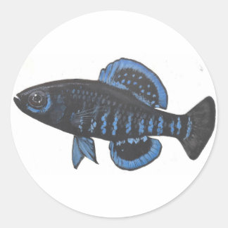 Autocollant de poisson-soleil Okefenokee