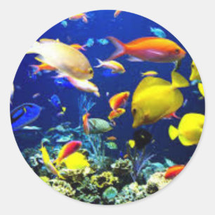 Autocollant de poissons