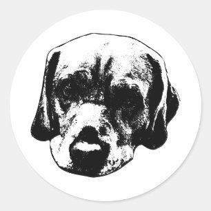 Autocollant de portrait noir et blanc Labrador