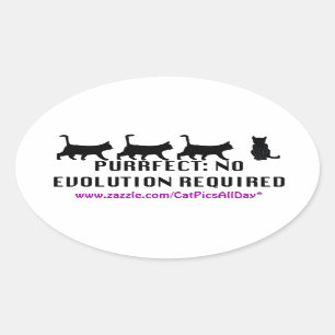 Autocollant de promo d'évolution de Purrfect