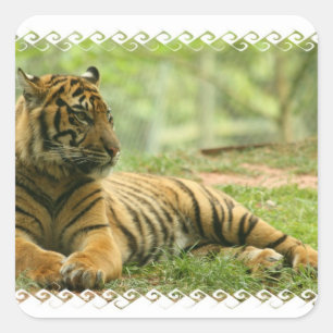 Autocollant de repos de tigre