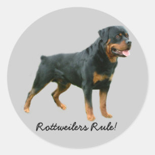 Autocollant de rottweiler