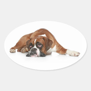 Autocollant de salutation Chien Boxer Puppy Love