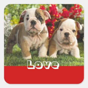 Autocollant de salutation pour chiot bouledogue an