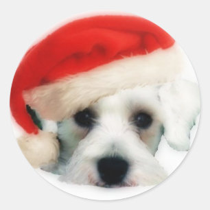 Autocollant de Schnauzer de Père Noël