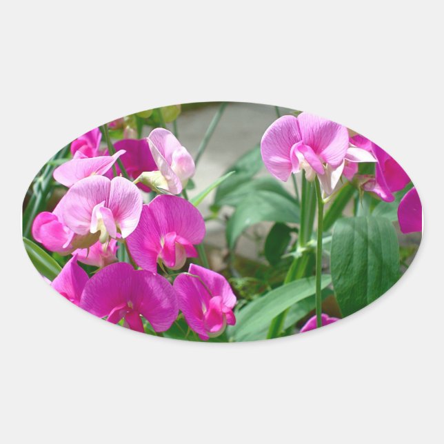 autocollant de snapdragon rose (Devant)