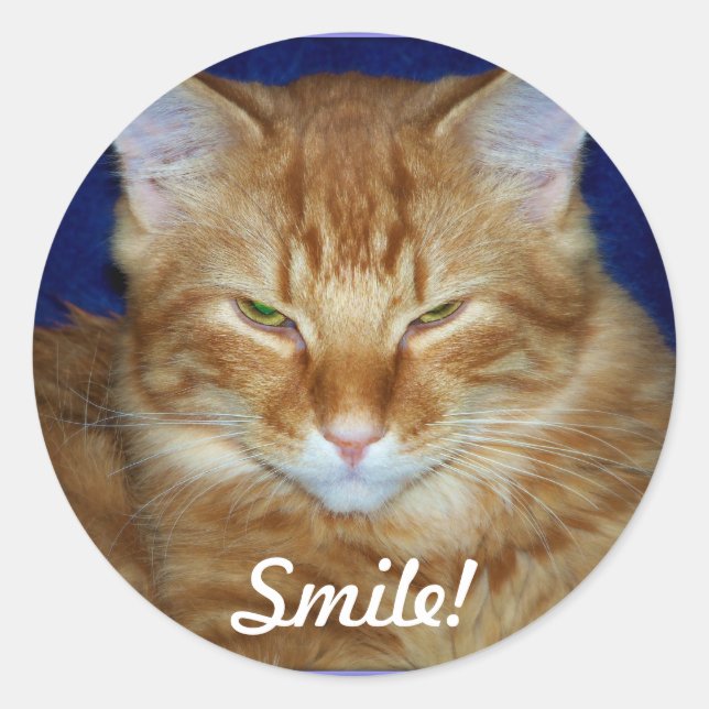 Autocollant de sourire de chat Tabby orange (Devant)
