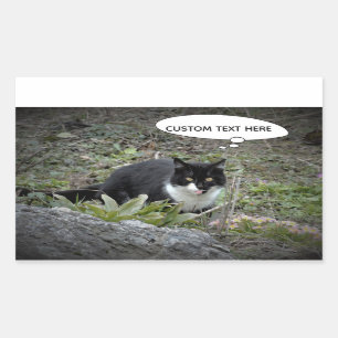 Autocollant de texte personnalisé de photo de chat