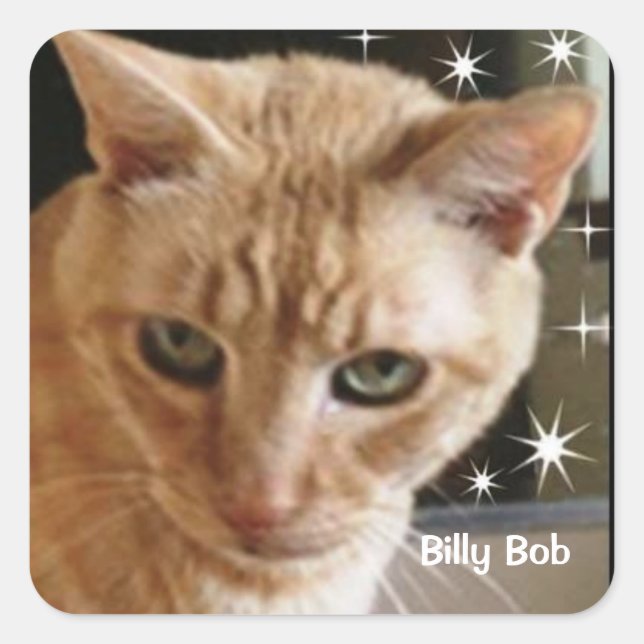 AUTOCOLLANT DE THORNTON DE CHAT SAUVAGE DE BILLY (Devant)