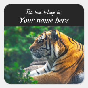 Autocollant de tigre de l'Amour